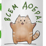 Кот Мягкот, рыжий живот!