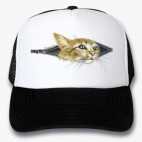 Внутренний Кот