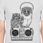 Совы. Совушки. Owl. Owls.