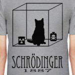 Кот Шрёдингера