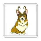 Корги Локи