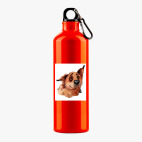 Металлическая бутылка 700 мл UV-DTF