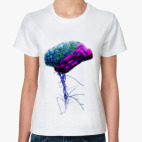 fairy brain