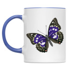 'Переливница'