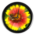 Часы (без цифр)