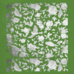 Птицы и плоды граната