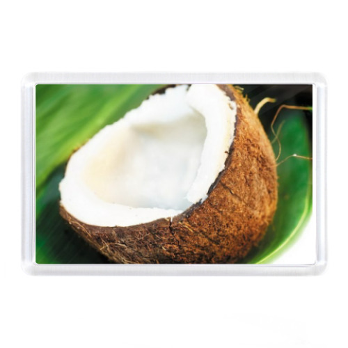 Магнит с принтом Кокос