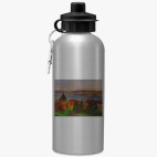 Спортивная бутылка