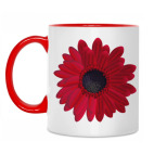 Красная Гербера