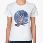 птица сыч сова