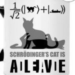 Котэ Шрёдингера