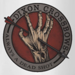 Daryl Dixon The Walking Dead Arrow