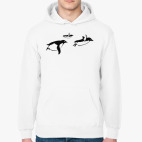 Толстовка худи