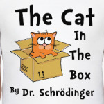 Кот Шрёдингера