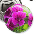 Камчатка, цветы