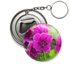 Камчатка, цветы