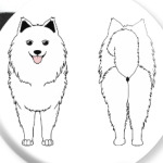 Два Самоеда