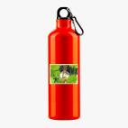 Металлическая бутылка 700 мл UV-DTF