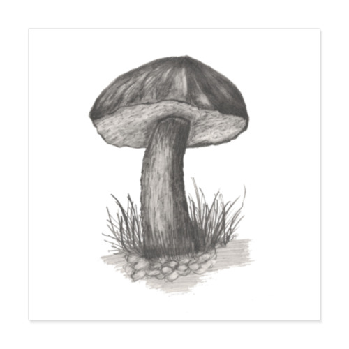 Виниловые наклейки Гриб
