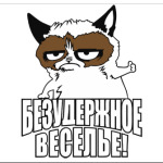   Безудержное веселье