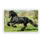 Магнит 7,5 x 5,1 см Конь