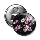 Хризантемы