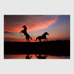 Как прекрасен этот мир