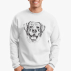 Собака / Год Собаки