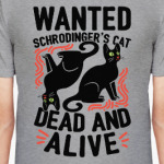 Кот Шрёдингера