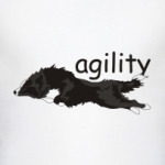 Аджилити