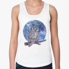 птица сыч сова