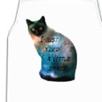 Котик космический