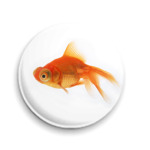 золотая рыбка