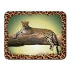 Коврик для мыши Животные