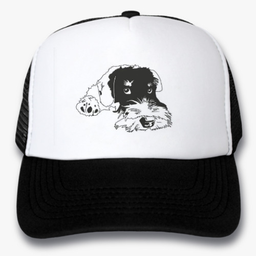 Кепка-тракер Daddy