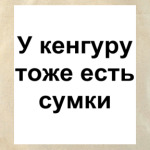 У кенгуру тоже есть сумки