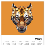 Тигр / Tiger