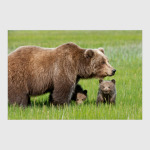 Как прекрасен этот мир