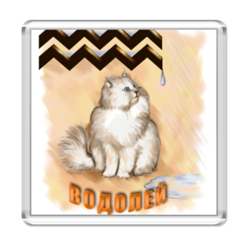 Магнит  Водолей