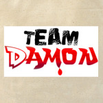  Team Damon