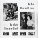  'The wild one'