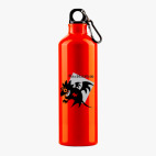 Металлическая бутылка 700 мл UV-DTF