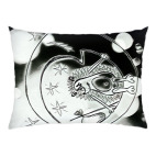 Ежик на луне