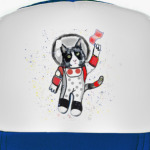 Кот в космосе