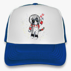 Кот в космосе