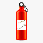 Металлическая бутылка 700 мл UV-DTF