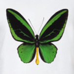 Бабочка GREEN