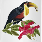 Тропическая птица