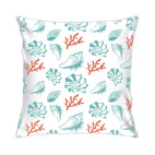 Морские ракушки