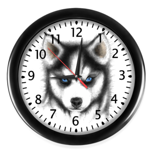 Настенные часы Сибирский хаски Siberian husky